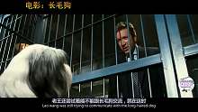 父亲被300年的狗狗咬了一口，结果也变成了狗，女儿看到心痛不