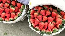 草莓市场，全是草莓