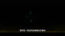 小镇里养宠物的人离奇死亡，谁也没想到凶手是个8岁小女孩