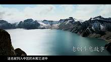 世界十大水怪之谜，究竟谁才是真正的水中霸主？