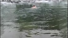 我爸还真是个冬泳小王子