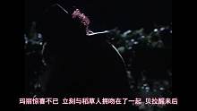 【奥雷】畸形连体弟弟因生理问题疯狂报复哥哥《魔界奇谭2》