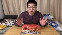 试吃500元一只的澳洲大龙虾，我是第一次吃这么大的！