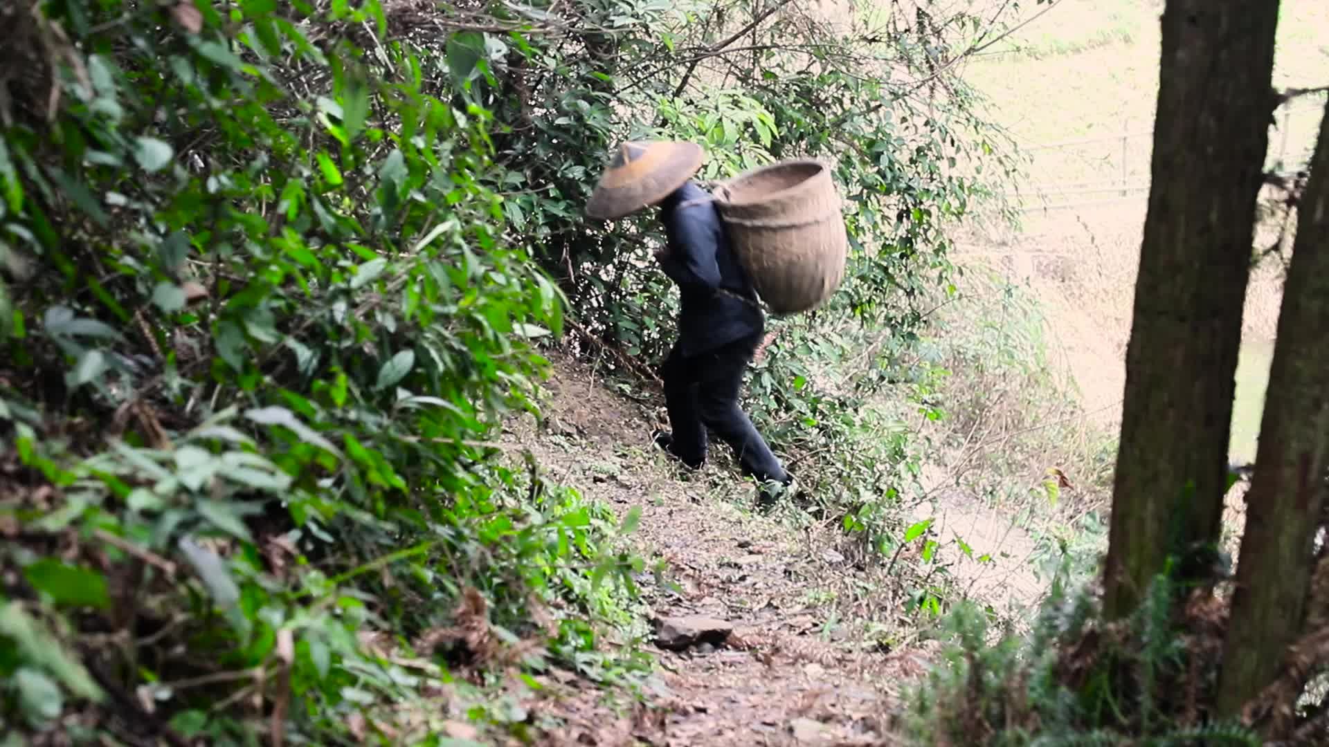 生做点农产品销售，再打一份工能赚160块，生活不就是这样吗