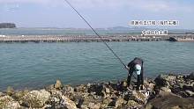新年矶钓