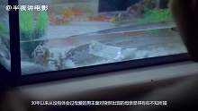 半夜讲电影：几分钟带你看完韩国剧情电影《圣殇》