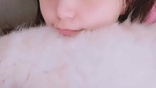 日常被猫踩