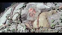 倚天屠龙记之魔教教主