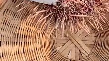 海刺猬