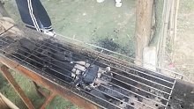 户外烧烤进行中