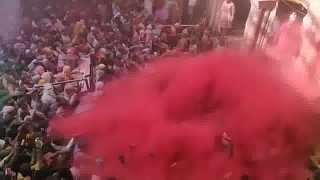 印度洒红节开始了