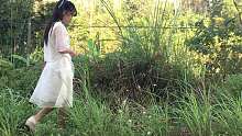广西农村女孩喜欢上了这种田园生活，变身“花姑子”惬意采花