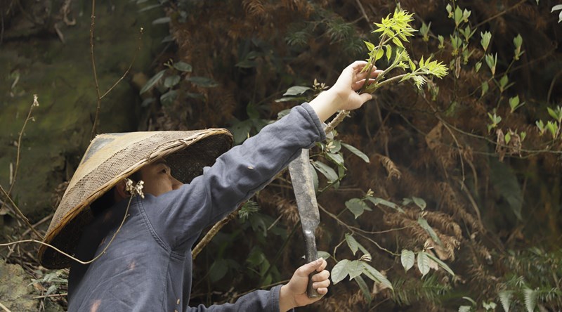 插秧回来太累了，随便炒两个家常菜却是如此的美味，80后的味道