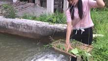 广西农村女孩养了那么多纯天然泉水鱼，你要来做客吗？