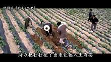 3分钟看完《时失2公里》
