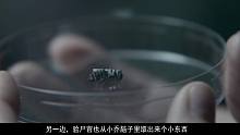 速看《黑镜》第三季第6集