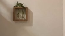 这两天要参加两场婚礼呀～