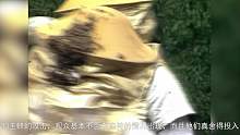83神雕侠侣中杨过为了给小龙女过生日，竟然去重阳宫偷鸡，你厉