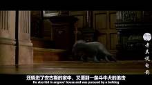 男孩湖边捡到一颗蛋，不料孵出一只大水怪，把它当亲人一样