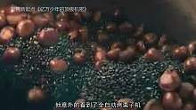 3分钟看完《亿万少年的顶级机密》！