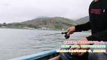 沉底钓也上这家伙
