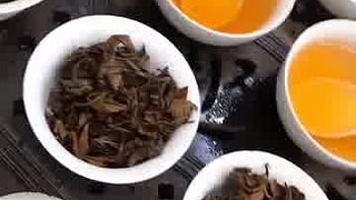 东方美人茶全新体验，全程有机茶园制作