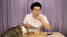 试吃红烧肉罐头+午餐肉罐头，家里的小猫都快馋哭了！