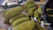 海南菠萝蜜是这样切的
