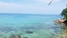 吹着海风吃午饭
