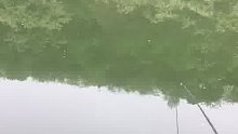 水库夜钓上大草鱼