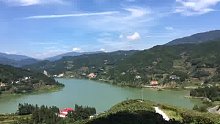 赣南狗牯脑茶叶基地