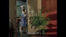 一只小狗跟主人学会了中国功夫，两三个人都打不过它，真是成精了