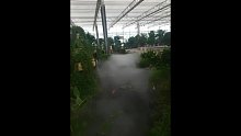 有没有仙境的感觉