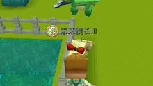 只是看个虾而已