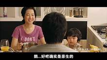极速绯闻