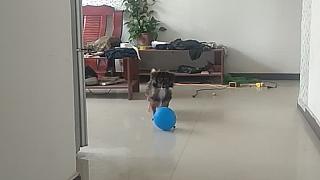 擰擰