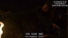 49.狼家的二哈（下）
