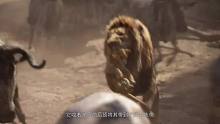时隔25年，真人版《狮子王》强势归来，动物形象逼真又可爱！