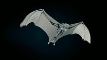 机械仿生蝙蝠