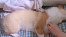 今天你挠痒痒了嘛