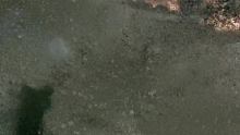 大战前的死静指挥官的对弈，枪以上膛炮以备好，一顿炮轰阵地丢了