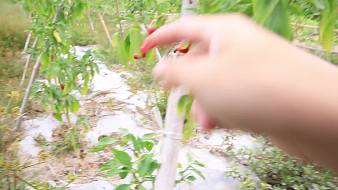 YES小哥戶外直播_YES小哥視頻直播 - 虎牙直播