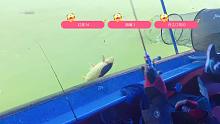 筏钓丹江口助理中20斤鲤鱼