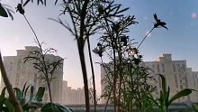 不愿染事非