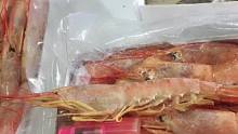 新鲜野生阿根廷大虾