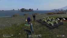 【dayz】偷菜贼抓个现行！欧善友：‘算了吧！没恶意！’