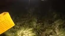 一群人，一条心，加油