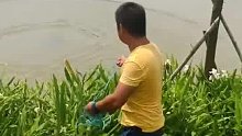 户外花式撒网捕鱼教程