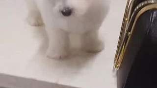 只要你愿意，我會永遠的存在，，，，