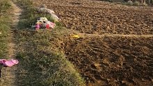 疫情宅家只能种地了